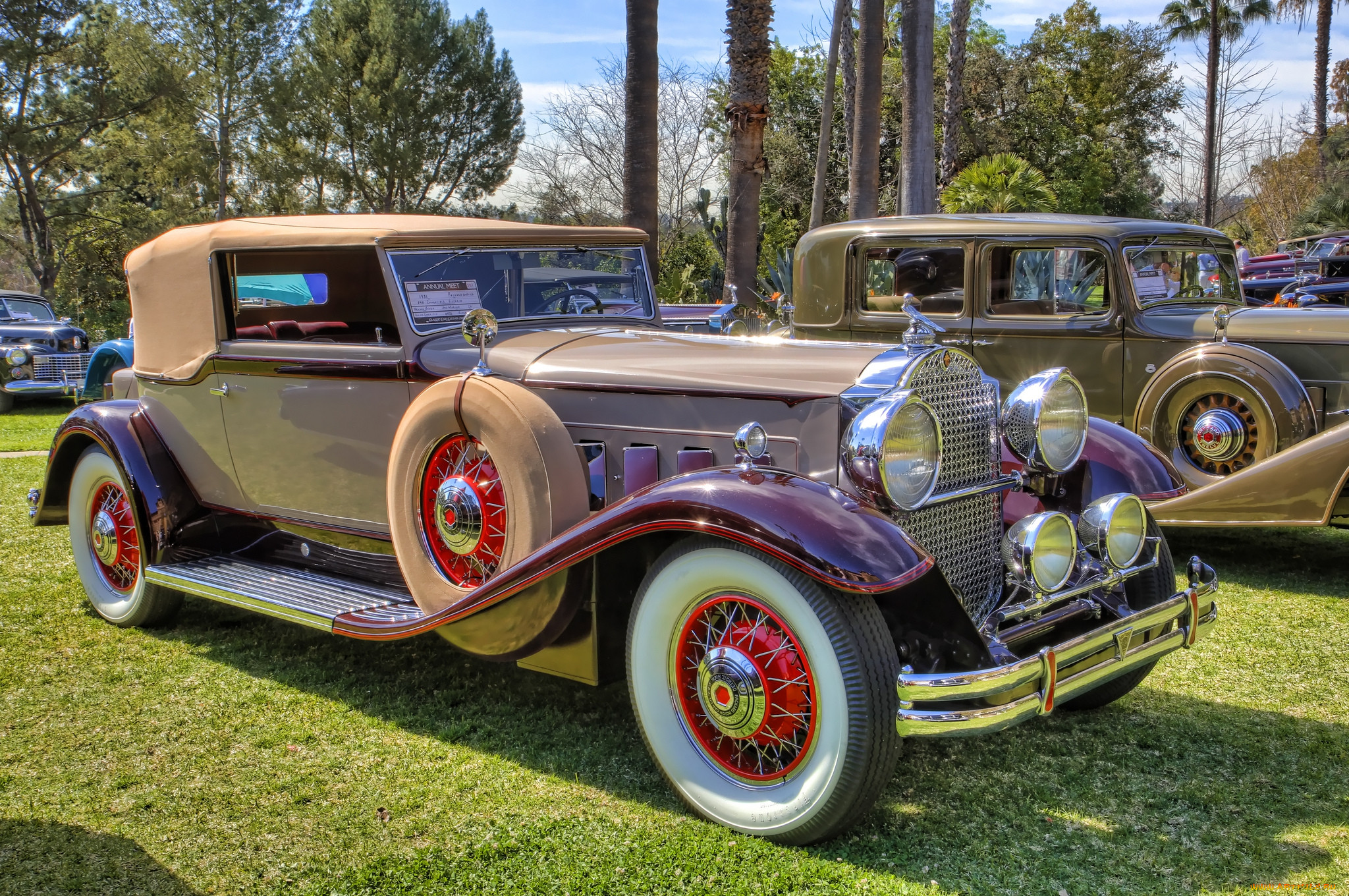 1931 packard 840 dietrich convertible victoria, ,    , , 